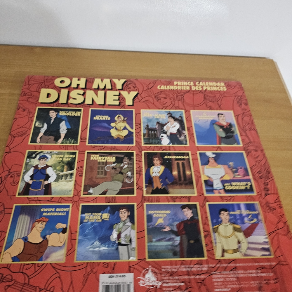 Oh My Disney DIY ANY YEAR Calendar Princes NEW Rare